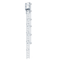 Echelle crinoline 8000 mm - Sortie marchette et portillon