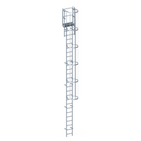 Echelle crinoline 7000 mm - Sortie marchette et portillon