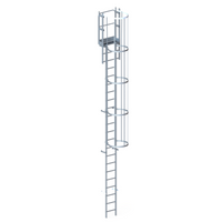 Echelle crinoline 6000 mm - Sortie marchette et portillon
