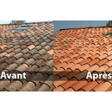 Anti-mousse toiture et façade - 5 + 1 offert