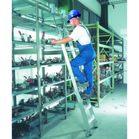 Échelle de rayonnage professionnelle à roulettes sur rail - Ami-hauteur.com