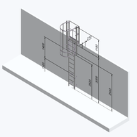 Echelle crinoline 3000 mm - Sortie marchette et portillon
