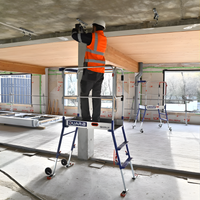 Escabeau télescopique norme bâtiment- plateforme à 4 hauteurs de travail réglable de 2.7 m à 3 m -  GAZELLE