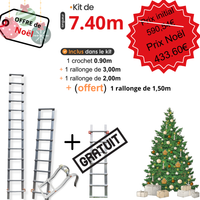 Offre échelle de toit