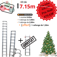 Offre échelle de toit noel 