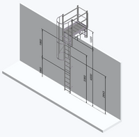 Échelle à crinoline 4000 mm  Palier de franchissement 1175 mm