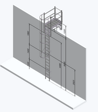Échelle à crinoline 5000 mm  Palier de franchissement 1175 mm