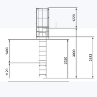 Echelle crinoline 3000 mm - Passage acrotère 725mm