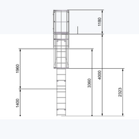 Echelle crinoline 4000 mm - Sortie marchette et portillon