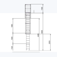 Echelle crinoline 5000 mm - Sortie marchette et portillon