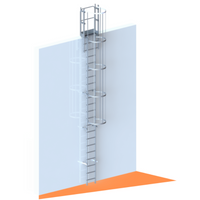 Echelle crinoline 6000 mm - Sortie marchette et portillon