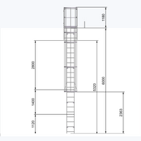 Echelle crinoline 6000 mm - Sortie marchette et portillon