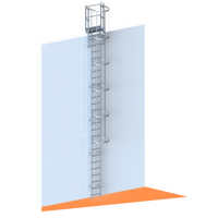 Echelle crinoline 7000 mm - Sortie marchette et portillon