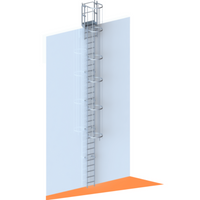 Echelle crinoline 8000 mm - Sortie marchette et portillon