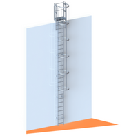 Echelle crinoline 7000 mm - Sortie marchette et portillon - Ami-hauteur.com