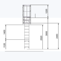 Echelle crinoline 3000 mm - Passage acrotère 725mm - Ami-hauteur.com