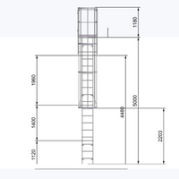 Echelle crinoline 5000 mm - Sortie marchette et portillon - Ami-hauteur.com