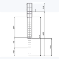 Echelle crinoline 6000 mm - Sortie marchette et portillon - Ami-hauteur.com