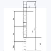 Echelle crinoline 8000 mm - Sortie marchette et portillon - Ami-hauteur.com