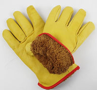 Échelle fruitière + gants anti froid en cuir