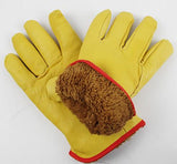 Échelle fruitière + gants anti froid en cuir