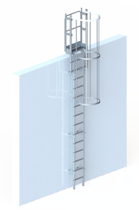 Echelle crinoline 4000 mm - Sortie marchette et portillon