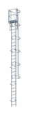 Echelle crinoline 7000 mm - Sortie marchette et portillon